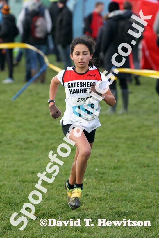 Under-13 girls 2nd North Eastern Cross Country, Champs., Temple Park, South Shields. Photo: David T. Hewitson/Sports for All Pics